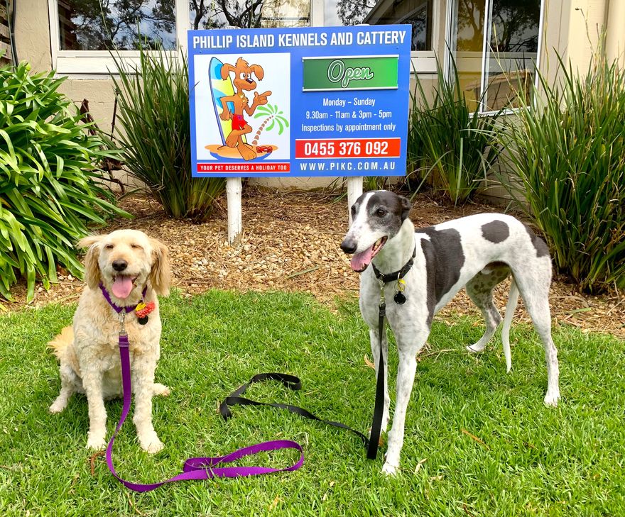 Phillip Island Kennels & Cattery featured image