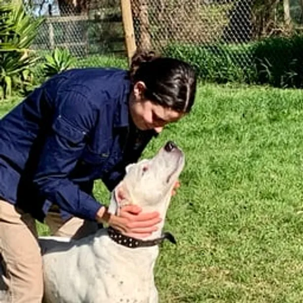 Phillip Island Kennels & Cattery Gallery Image